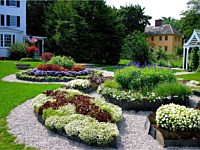 Lawn Care